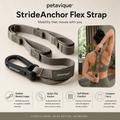 Petavique™ StrideAnchor Flex Strap